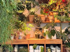 -自由生长植物工作室(深港花卉中心店)