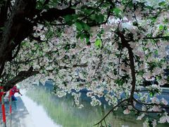 -海棠花溪(元大都城垣遗址公园)