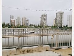 -黄金海岸
