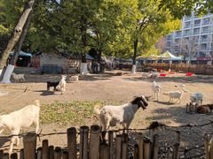 -杭州师范大学(下沙校区)