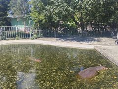 -东莞香市动物园
