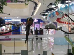 -万达广场(宜宾店)