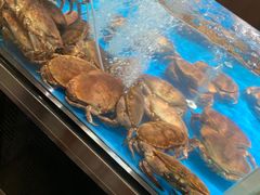 -老郑海鲜楼(天桥店)