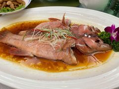 -启东海鲜人家(古美路店)
