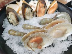扇贝-丽江庭院之爱在路上(西单店)