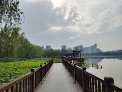-莲花池公园