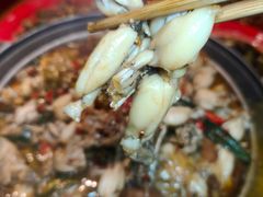 -兔槽江湖菜·重庆璧山兔(水围店)