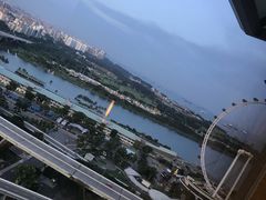 -新加坡丽思卡尔顿美年酒店