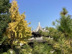 -八大山人梅湖景区
