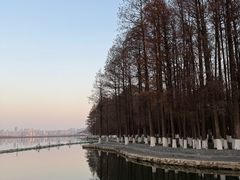 -巴犀烧烤(新崇光店)