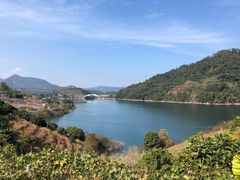 -广州市流溪河国家森林公园