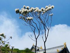-峨眉山风景名胜区