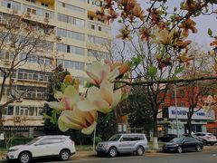 -金宫殿故址