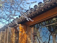 -春风习习