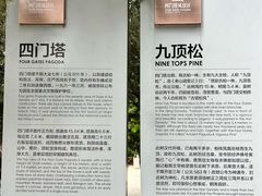 -四门塔风景区