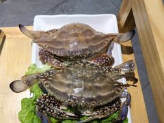 梭子蟹-蔚海之都·象山蒸汽海鲜(仙霞路店)