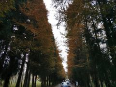-山王坪喀斯特国家生态公园