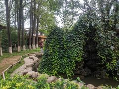 -林间山庄
