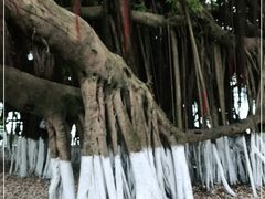 -胡里山炮台