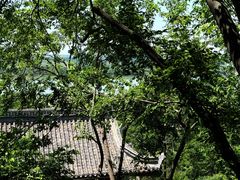-第一山景区