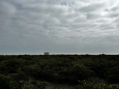 -北海金海湾红树林生态旅游区