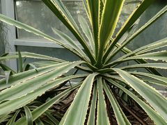 -郑州植物园