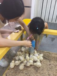 -神奇动物撸宠馆·羊驼·小浣熊·异宠(豫园店)