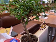-CURRY YA 熟成咖哩專門店(深圳湾万象城店)