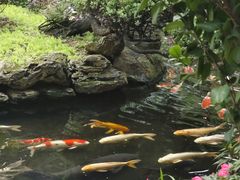 -聚福宝合苑食府(南头镇店)