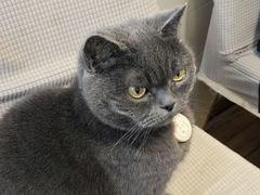 -春笙食堂.丼饭拉面寿司(GOGO新天地店)