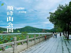 -顺峰山公园