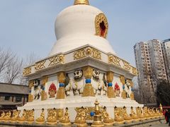 -护国法轮寺