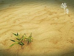 -大青沟风景区