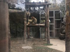 景点-北京动物园