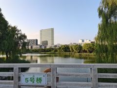 -大兴滨河森林公园