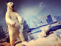 -陕西自然博物馆