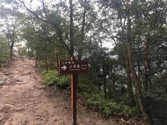 -雁荡山三折瀑景区