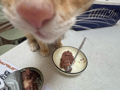 -瑞派康怡24h宠物医院·犬猫医疗中心·微创绝育(瑞景分院)