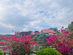 -大屏嶂森林公园