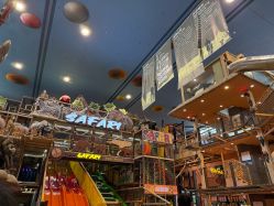 点击看大图 -卡通尼·Safari非洲探索乐园·生日会(金桥国际商业广场店)