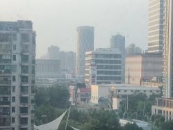 -复旦大学附属妇产科医院(杨浦院区)