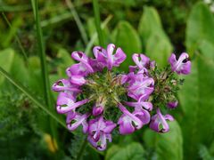 -迪庆藏族自治州博物馆