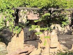 -长鹿旅游休博园