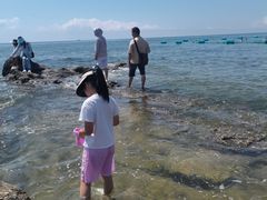 -老虎石海上公园