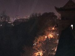 -武汉大学-樱园