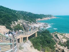 -广东惠东海龟国家级自然保护区