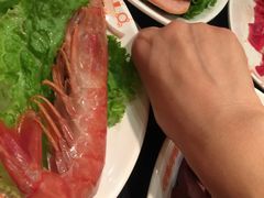 -呷哺呷哺(新世界百货望京店)