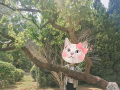 -前关湿地公园