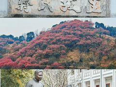 -宁波溪口古镇-民国大杂院