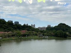 -顺峰山公园